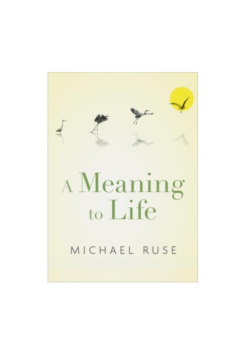 A Meaning to Life