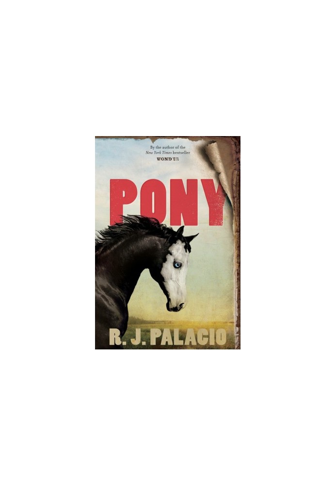 Pony