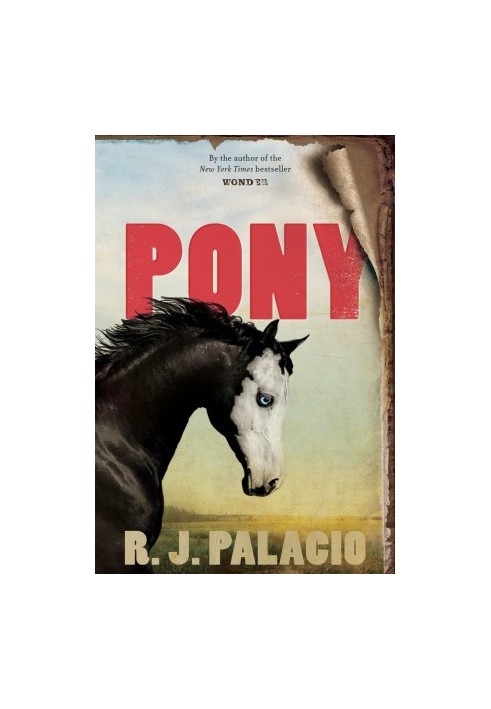 Pony