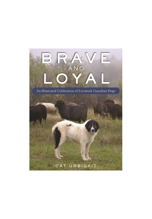 Brave and Loyal