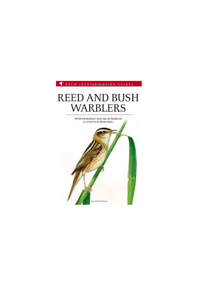 Reed and Bush Warblers