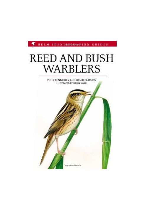 Reed and Bush Warblers