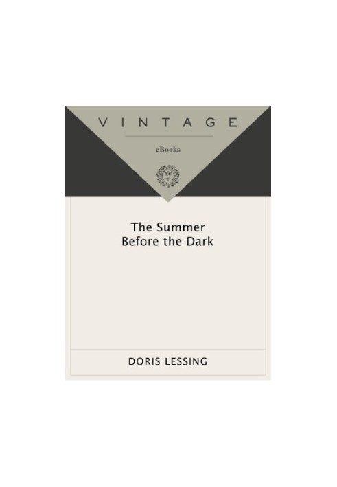 The Summer Before the Dark