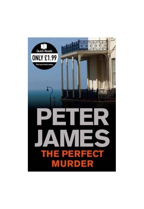 The Perfect Murder