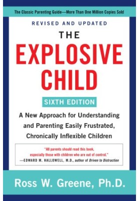 The Explosive Child