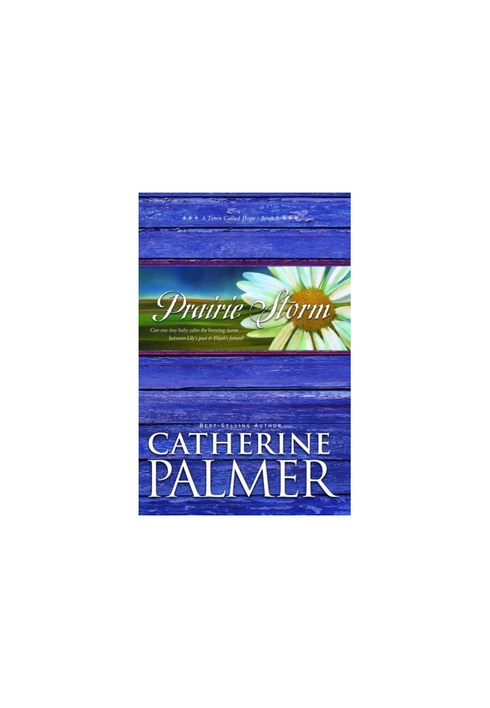 Prairie Storm (A Town Called Hope Book 3)