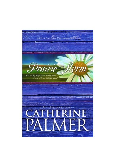 Prairie Storm (A Town Called Hope Book 3)