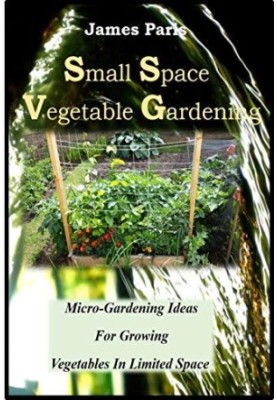 Small Space Vegetable Gardening: Micro-Gardening Ideas For Growing Vegetables In Limited Space (No Dig Gardening Techniques)