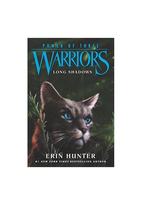 Warriors: Power of Three 5: Long Shadows