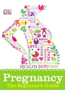 Pregnancy: The Beginner’s Guide