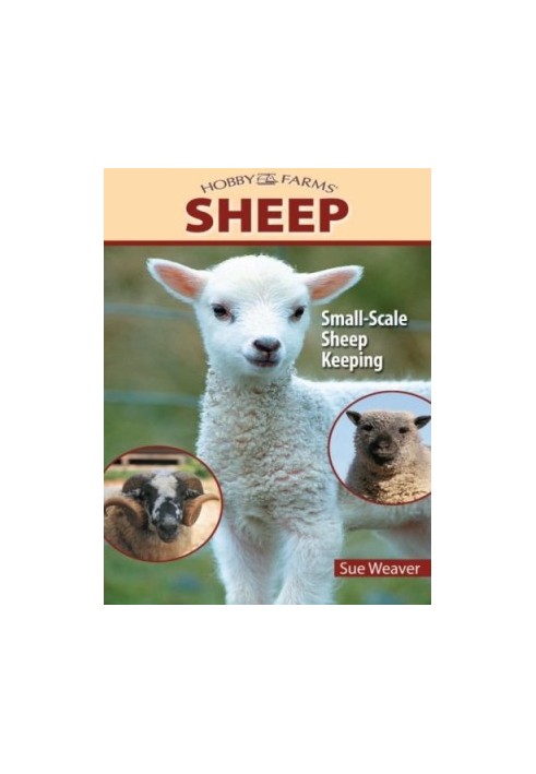 Sheep: Small-Scale Sheep Keeping