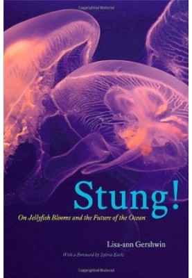 Stung!: On Jellyfish Blooms and the Future of the Ocean