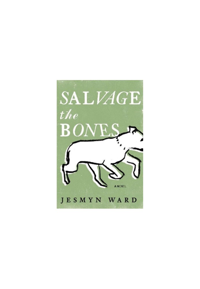Salvage the Bones: A Novel (Bois Sauvage 1)