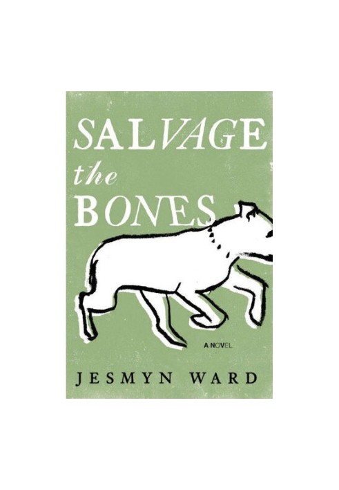 Salvage the Bones: A Novel (Bois Sauvage 1)