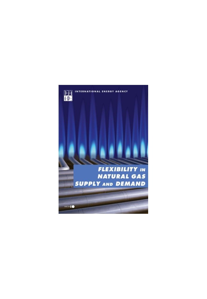 Flexibility in Natural Gas Supply and Demand.
