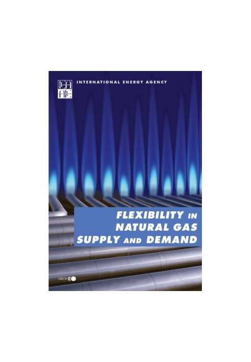 Flexibility in Natural Gas Supply and Demand.