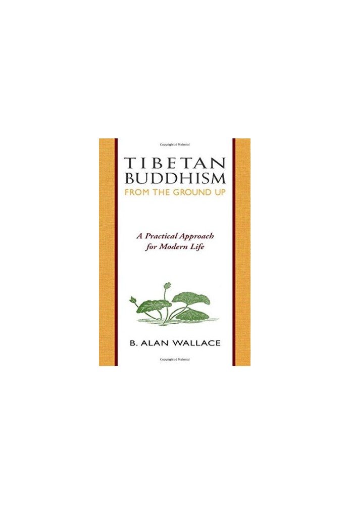 Tibetan Buddhism : from the ground up  a practical approach for modern life