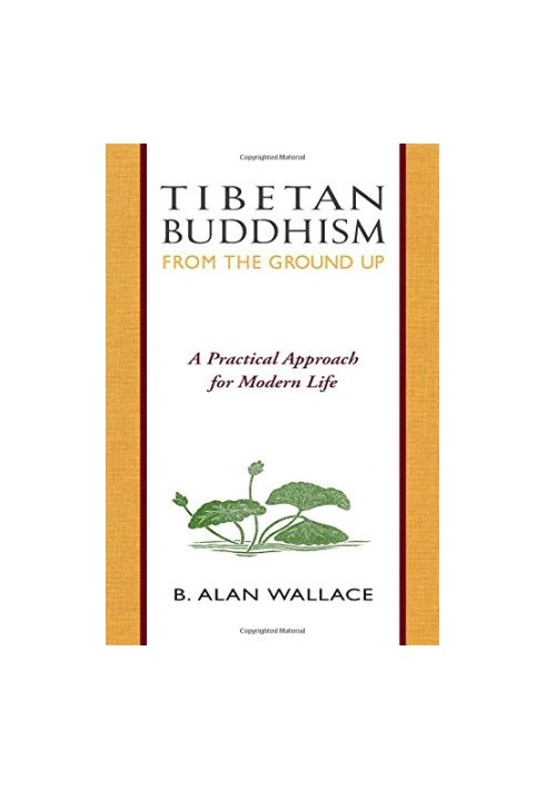Tibetan Buddhism : from the ground up  a practical approach for modern life
