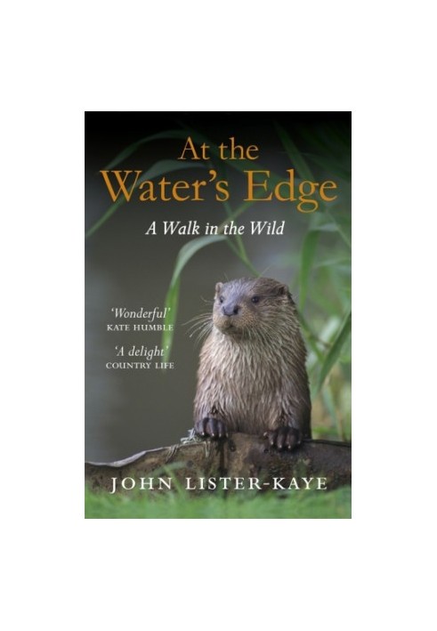 At the Water's Edge: A Walk in the Wild