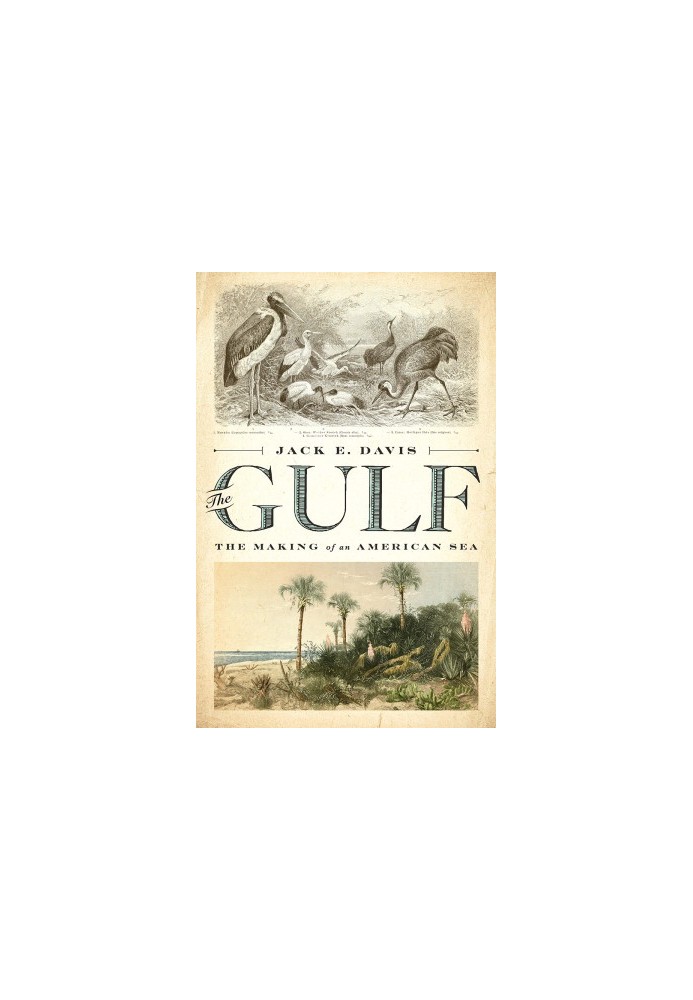 The Gulf