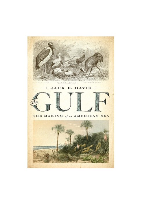 The Gulf