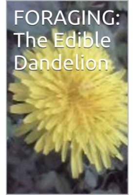Foraging The Edible Dandelion