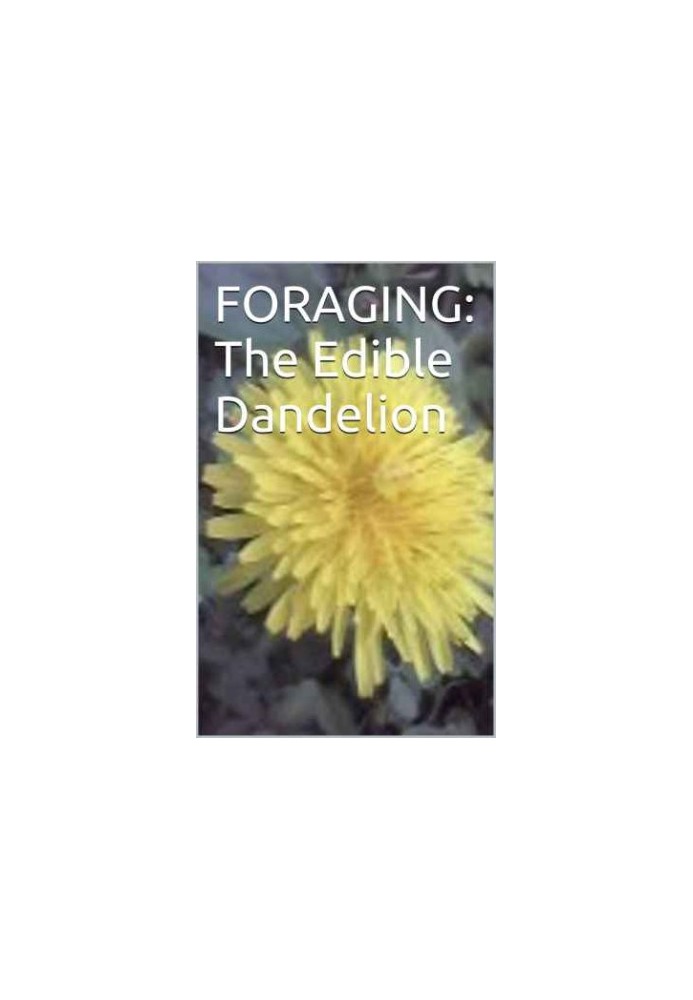 Foraging The Edible Dandelion
