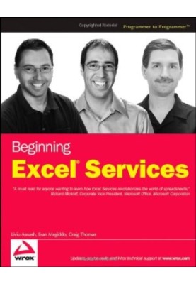 Beginning Excel Services (Programmer to Programmer)