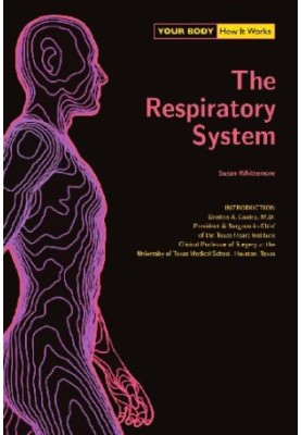 The Respiratory System