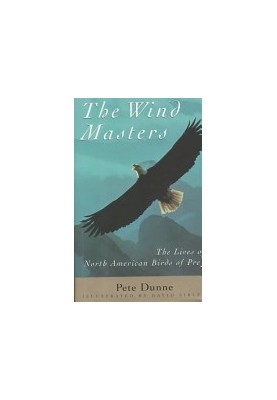The Wind Masters
