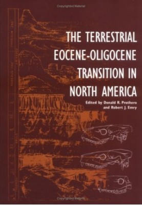 The terrestrial Eocene-Oligocene transition in North America
