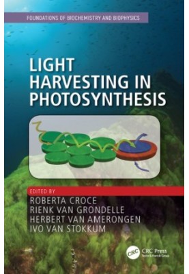 Light Harvesting in Photosynthesis