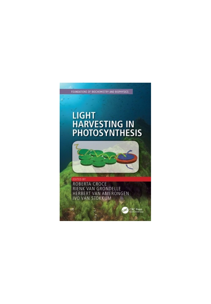 Light Harvesting in Photosynthesis