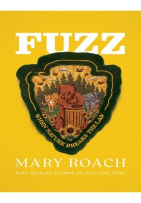 Fuzz: When Nature Breaks the Law