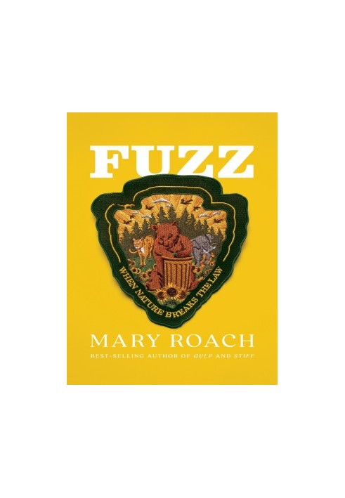 Fuzz: When Nature Breaks the Law