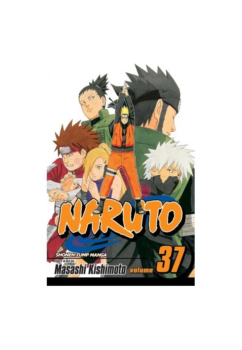 Naruto, Vol. 37: Shikamaru's Battle