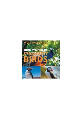 Bird Wonders - Strangest Birds