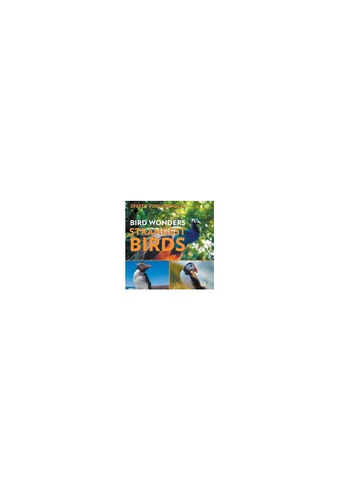 Bird Wonders - Strangest Birds