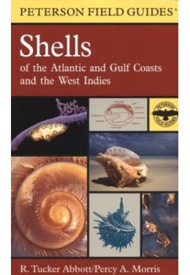 Shells of the Atlantic and Gulf Coasts and the West Indies