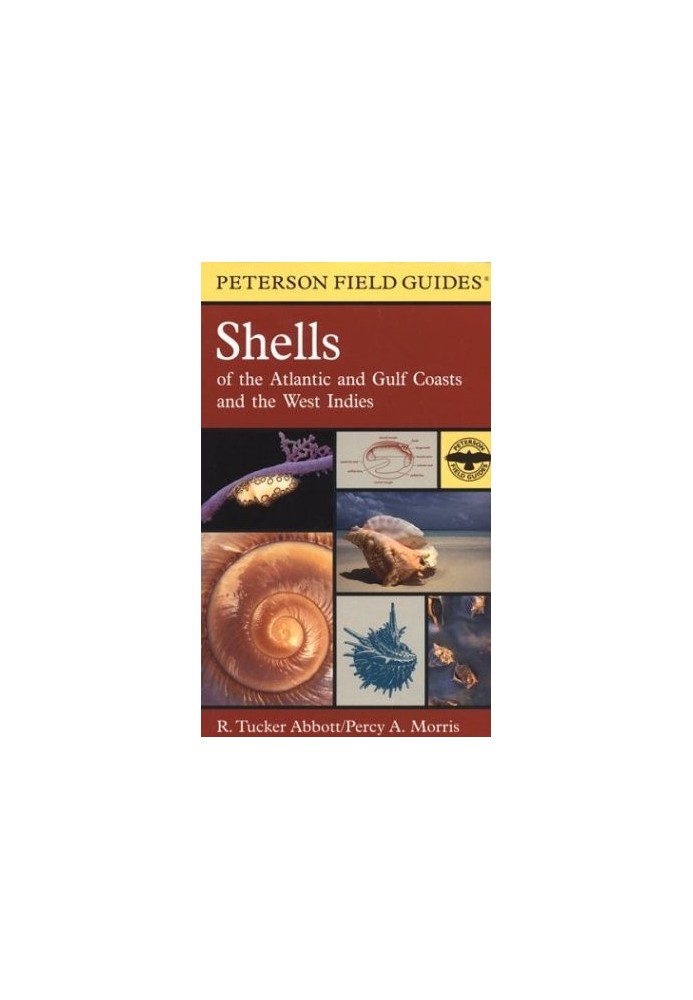 Shells of the Atlantic and Gulf Coasts and the West Indies