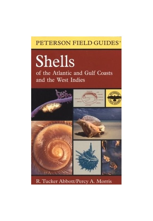 Shells of the Atlantic and Gulf Coasts and the West Indies