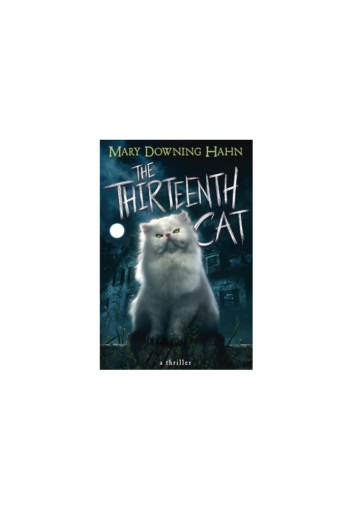 The Thirteenth Cat
