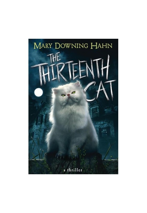 The Thirteenth Cat