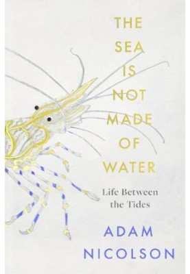 The Sea is Not Made of Water: Life Between the Tides