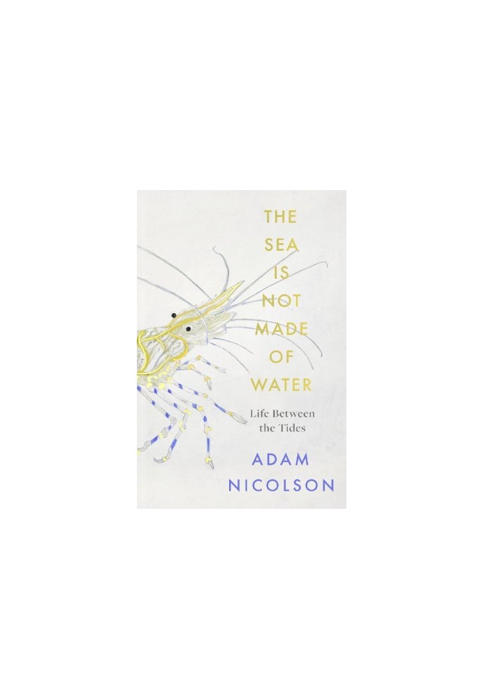 The Sea is Not Made of Water: Life Between the Tides