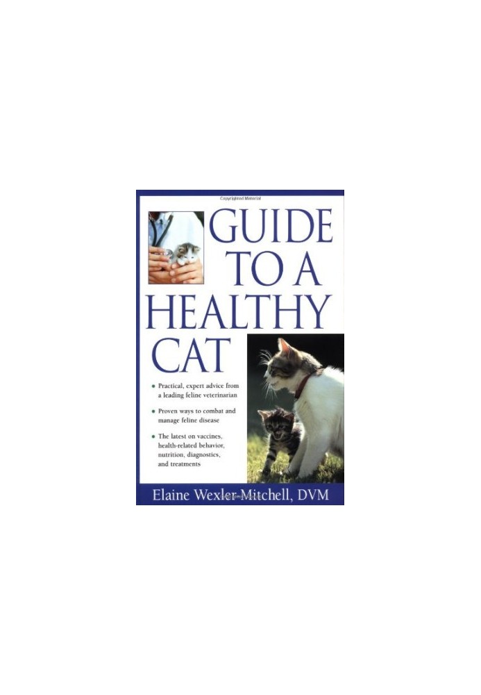 Guide to a Healthy Cat