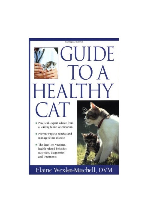 Guide to a Healthy Cat