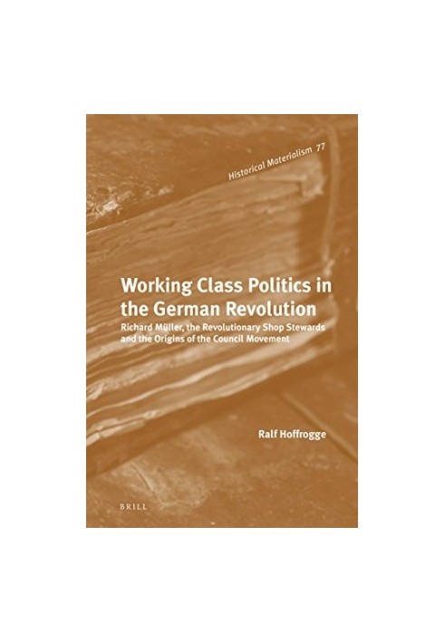 Working class politics in the German Revolution : Richard Müller, the revolutionary shop stewards and the origins of the cou