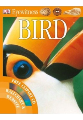 Bird.