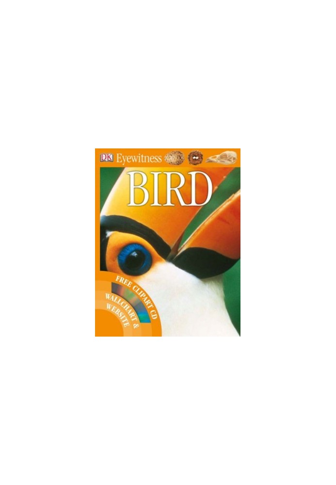 Bird.